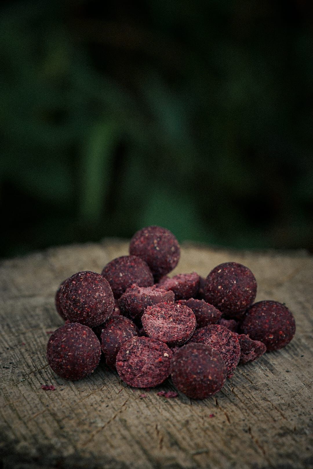 Garlic Robin Red 15mm